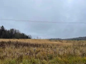 Продаются 4 (Четыре) Земельных участка сельскохозяйственного назначения (площадью 28 339 кв. м, 113 761 кв. м, 32499 кв. м и  346 044 кв. м), Московская обл., Солнечногорский р-н, ЗАО "Солнечное".